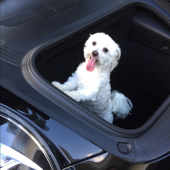 Meet the Posher - Picture 2 of 3